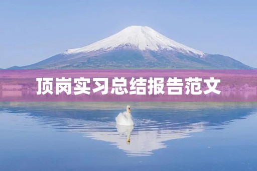 顶岗实习总结报告范文