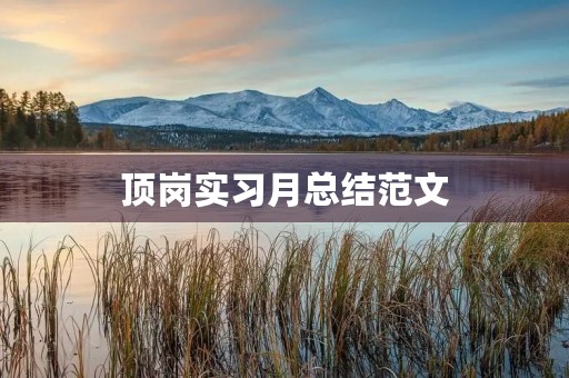 顶岗实习月总结范文