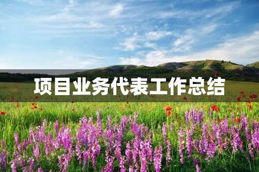 项目业务代表工作总结