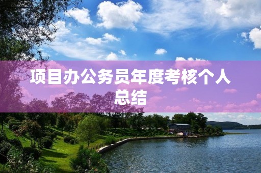 项目办公务员年度考核个人总结