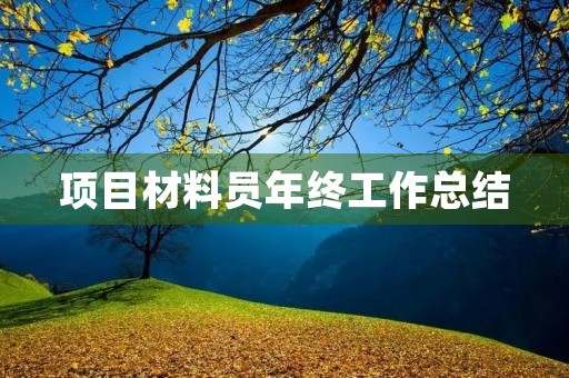 项目材料员年终工作总结 项目材料员年终工作总结