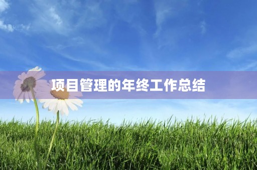 项目管理的年终工作总结 项目管理的年终工作总结