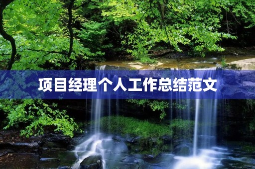 项目经理个人工作总结范文