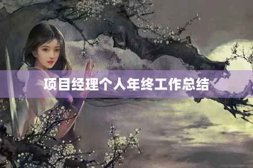 项目经理个人年终工作总结【10篇】