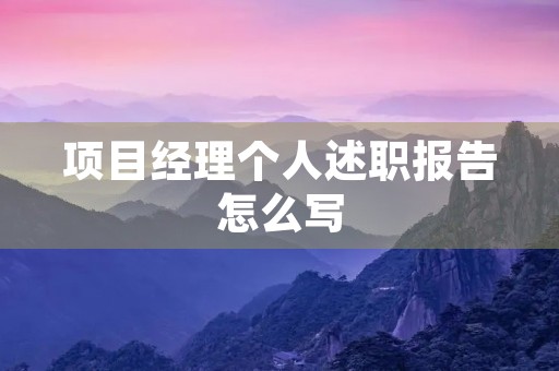 项目经理个人述职报告怎么写