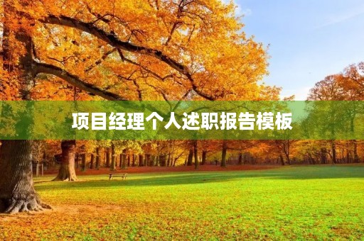 项目经理个人述职报告模板