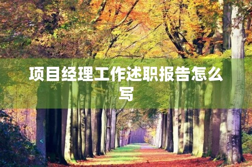 项目经理工作述职报告怎么写