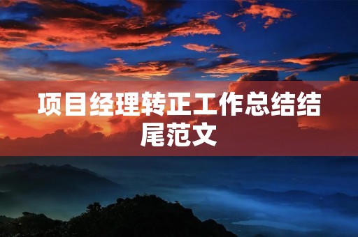 项目经理转正工作总结结尾范文