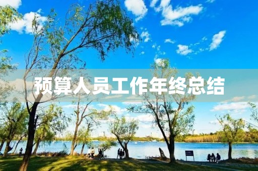 预算人员工作年终总结 预算人员工作年终总结