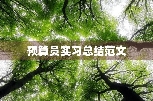 预算员实习总结范文 预算员实习总结范文