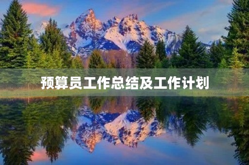 预算员工作总结及工作计划