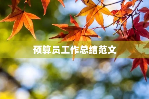 预算员工作总结范文