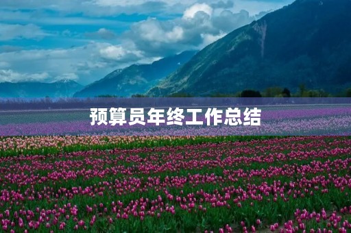 预算员年终工作总结