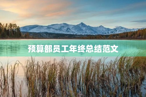 预算部员工年终总结范文 预算部员工年终总结范文