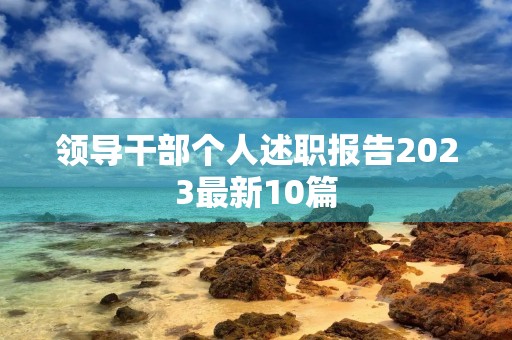 领导干部个人述职报告2023最新10篇