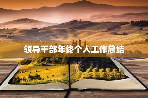 领导干部年终个人工作总结