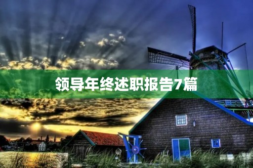 领导年终述职报告7篇