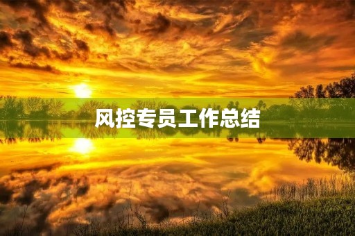 风控专员工作总结