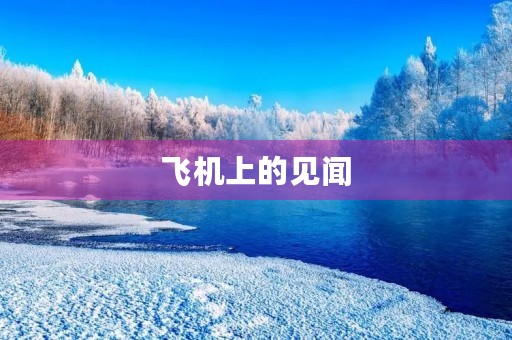 飞机上的见闻 飞机上的见闻
