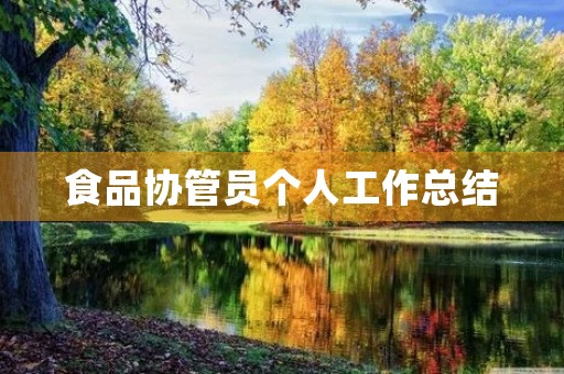 食品协管员个人工作总结