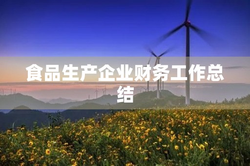 食品生产企业财务工作总结