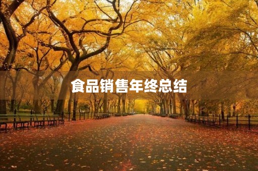 食品销售年终总结