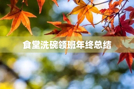食堂洗碗领班年终总结