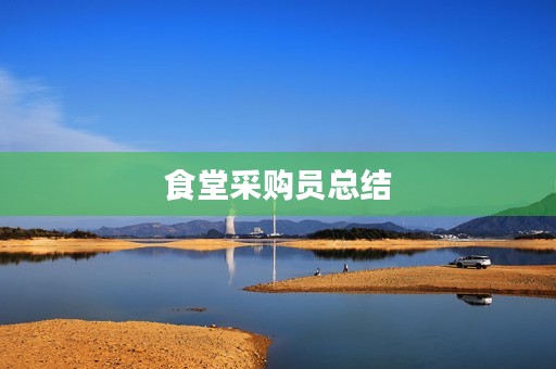 食堂采购员总结