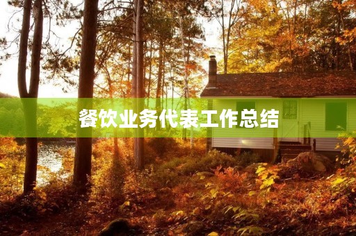 餐饮业务代表工作总结