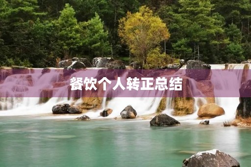 餐饮个人转正总结