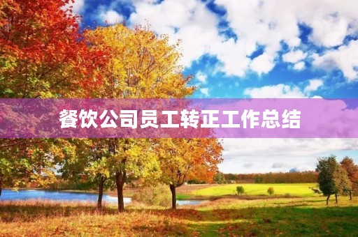 餐饮公司员工转正工作总结