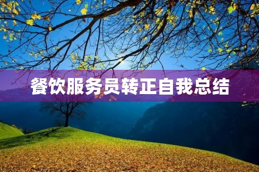 餐饮服务员转正自我总结