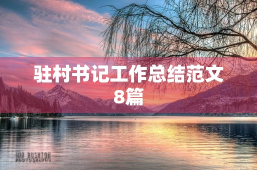 驻村书记工作总结范文8篇