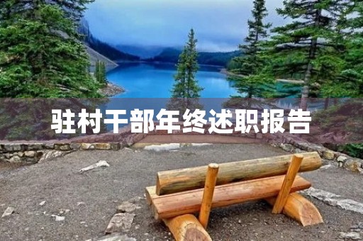 驻村干部年终述职报告