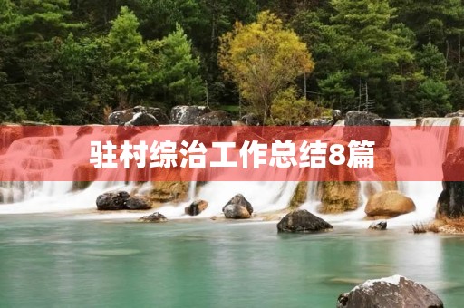 驻村综治工作总结8篇