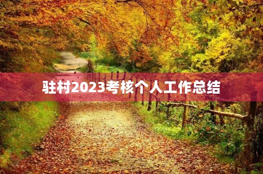驻村2023考核个人工作总结