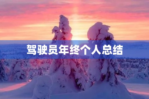 驾驶员年终个人总结