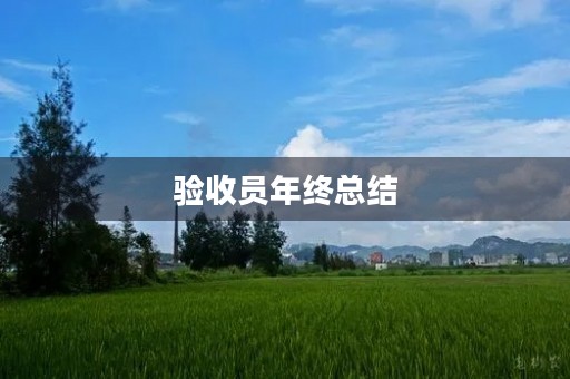 验收员年终总结