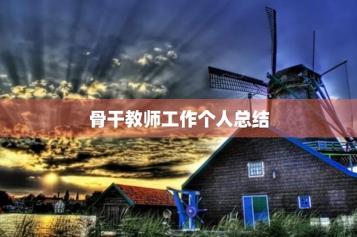 骨干教师工作个人总结