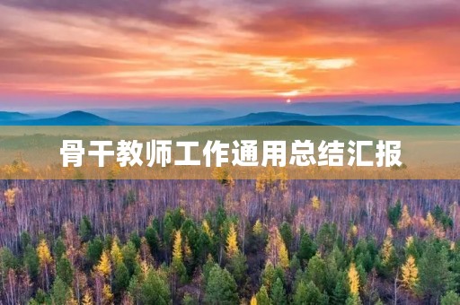 骨干教师工作通用总结汇报