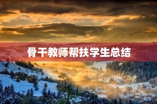 骨干教师帮扶学生总结