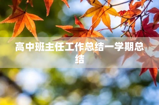 高中班主任工作总结一学期总结