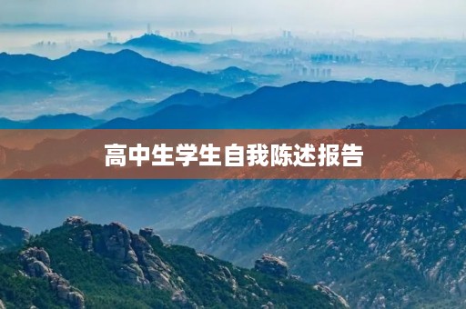 高中生学生自我陈述报告