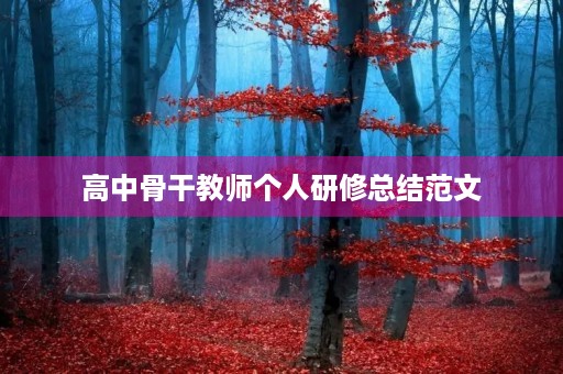 高中骨干教师个人研修总结范文