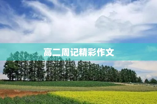 高二周记精彩作文