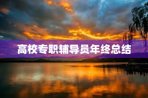 高校专职辅导员年终总结