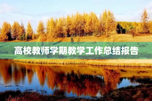 高校教师学期教学工作总结报告