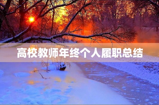 高校教师年终个人履职总结