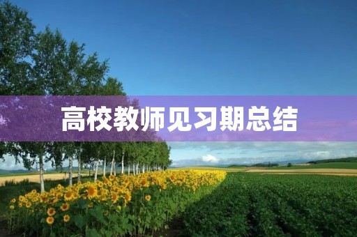 高校教师见习期总结