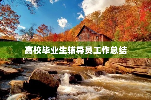 高校毕业生辅导员工作总结